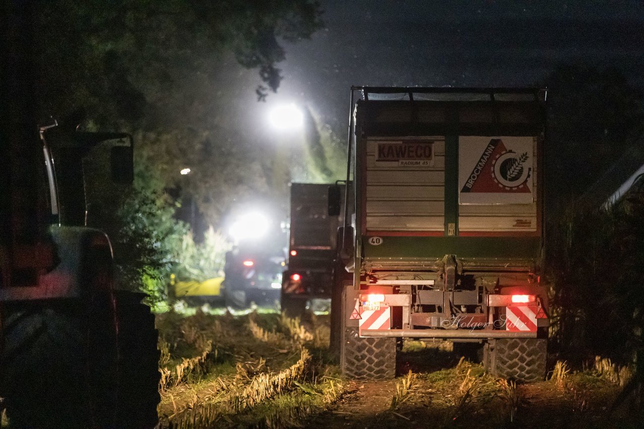 Bild 26 - Maisernte